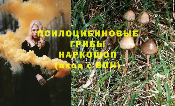 эйфоретик Алексин