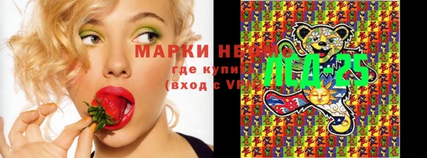 стаф Алексеевка