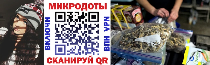 Псилоцибиновые грибы ЛСД  Олонец 